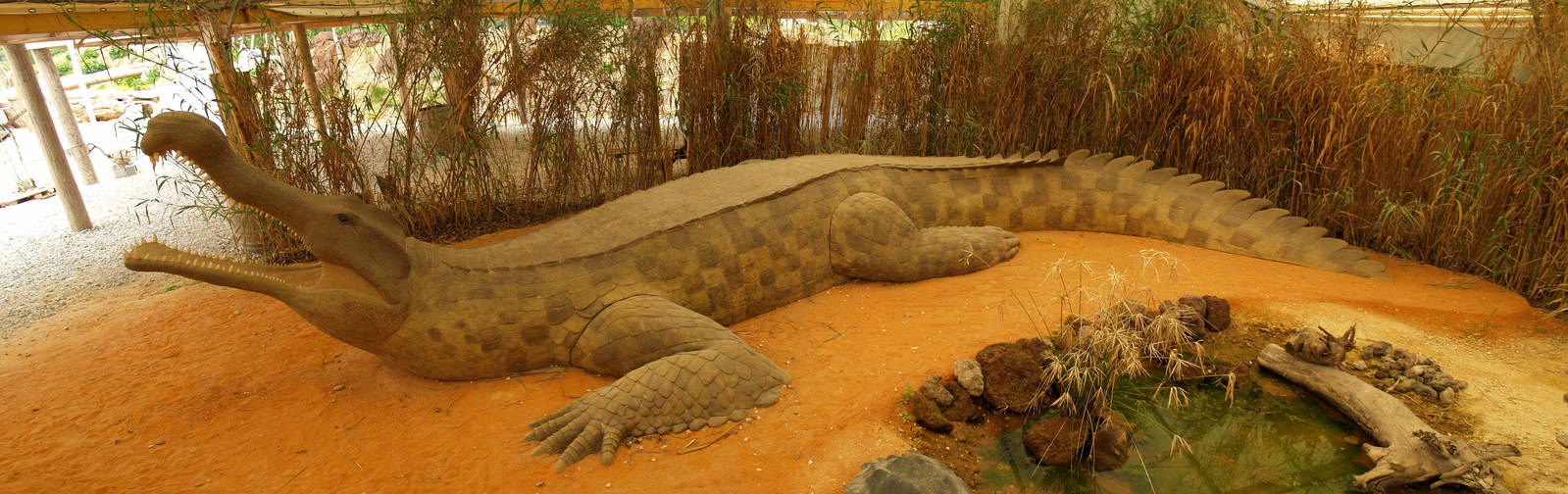 La ferme aux crocodiles - Sarcosuchus panorama
