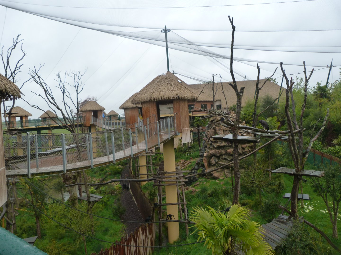 "La Grand Volière Sud-Americaine" view -ZooParc de Beauval (2025)