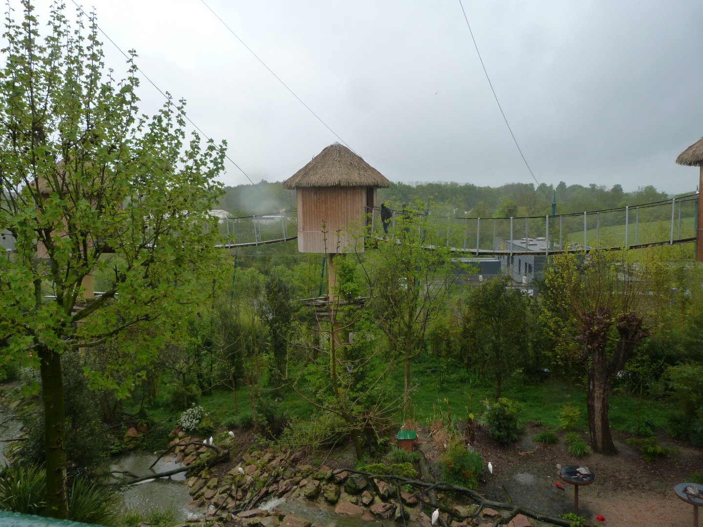 "La Grand Volière Sud-Americaine" view -ZooParc de Beauval (2025)