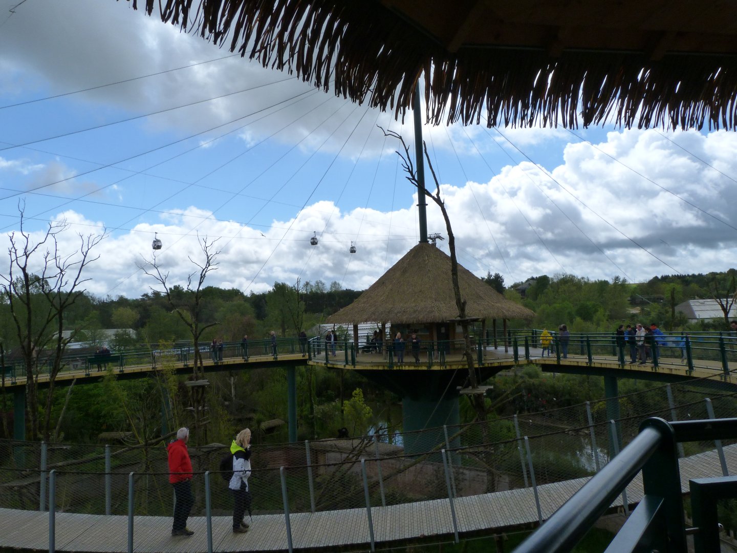 "La Grand Volière Sud-Americaine" view -ZooParc de Beauval (2025)