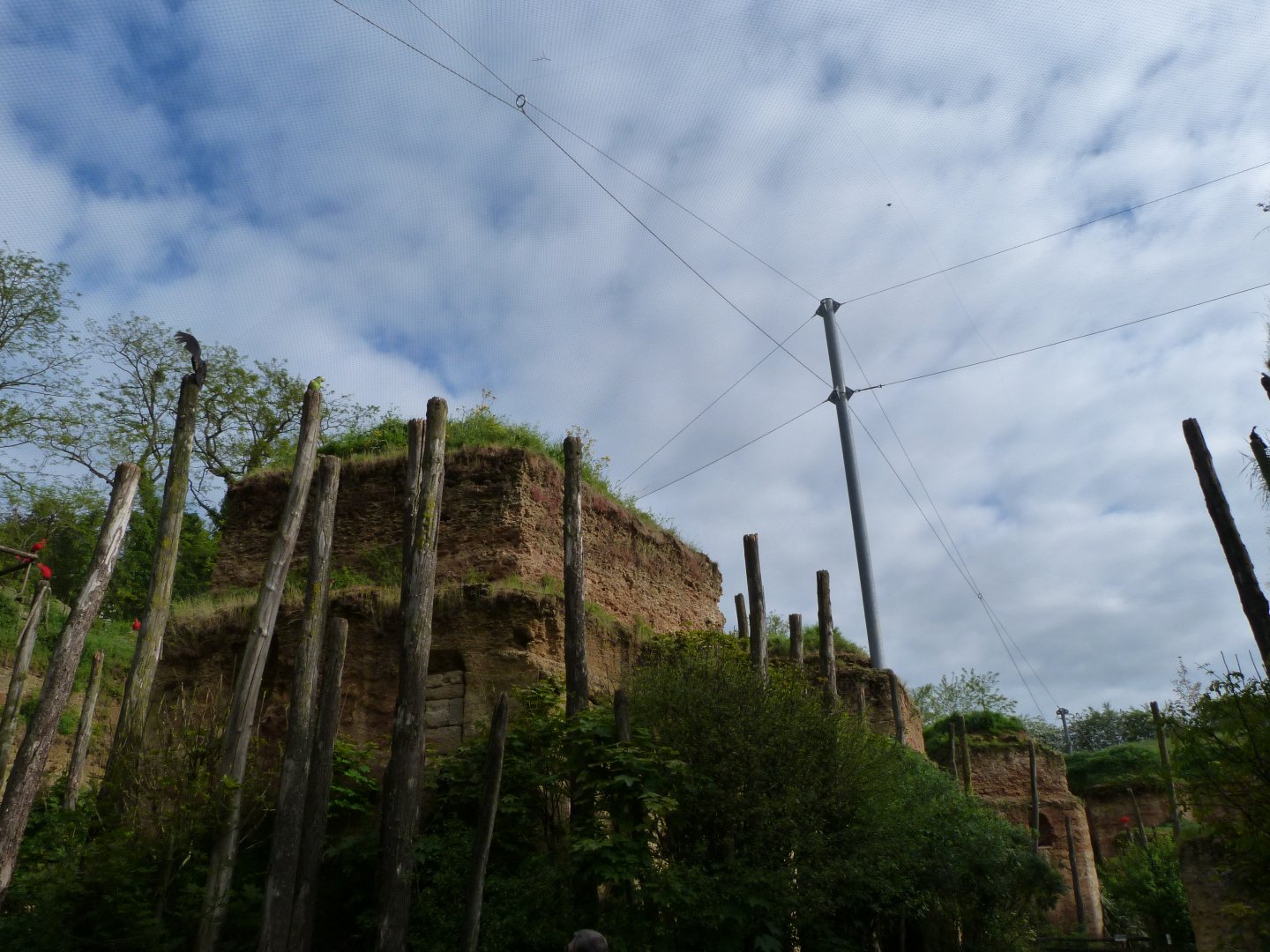"La Grande volière sud-américaine" entrance view -Bioparc de Doué la Fontaine (2025)