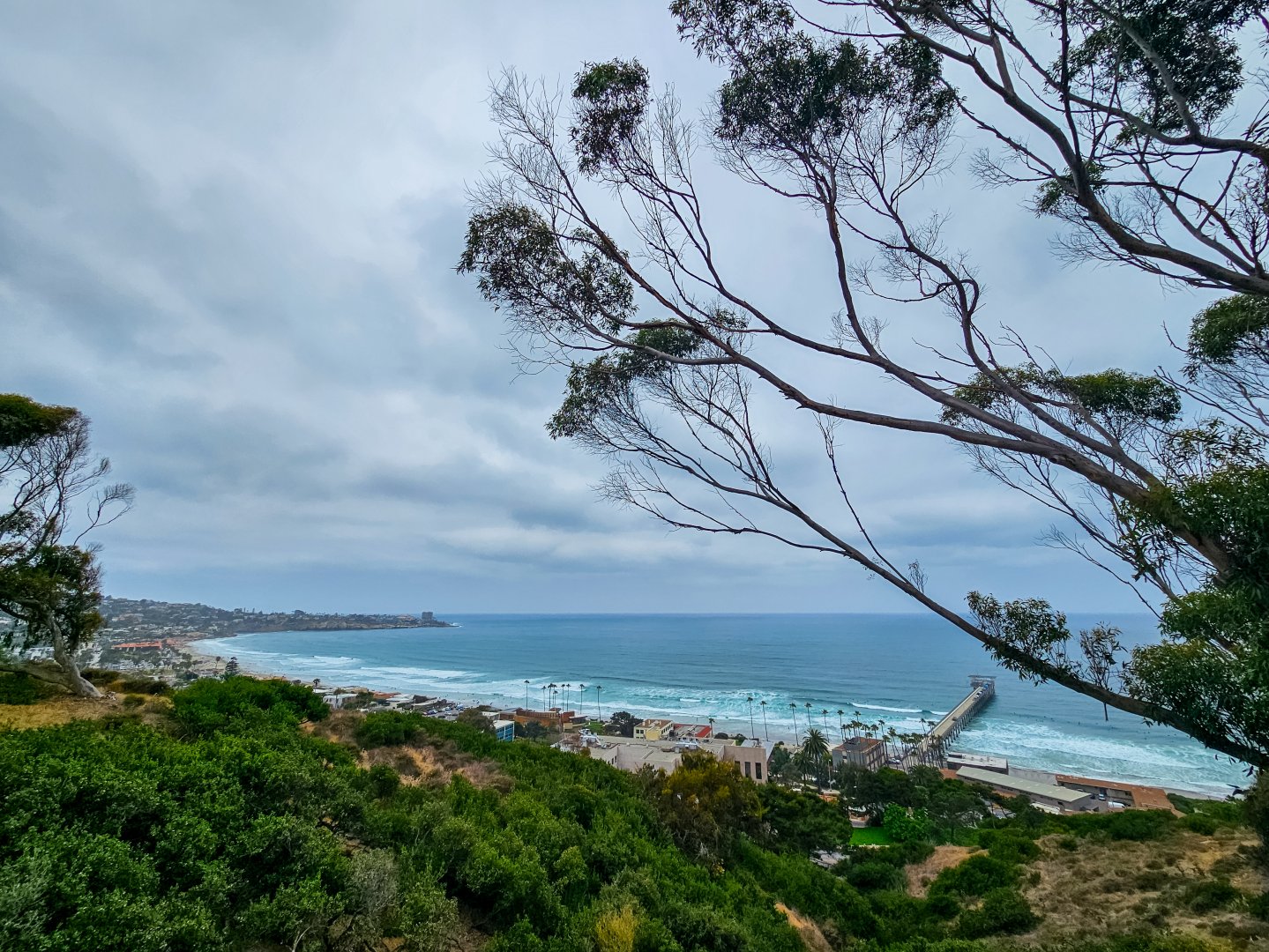 La Jolla Coast (from the Outdoor Plaza)