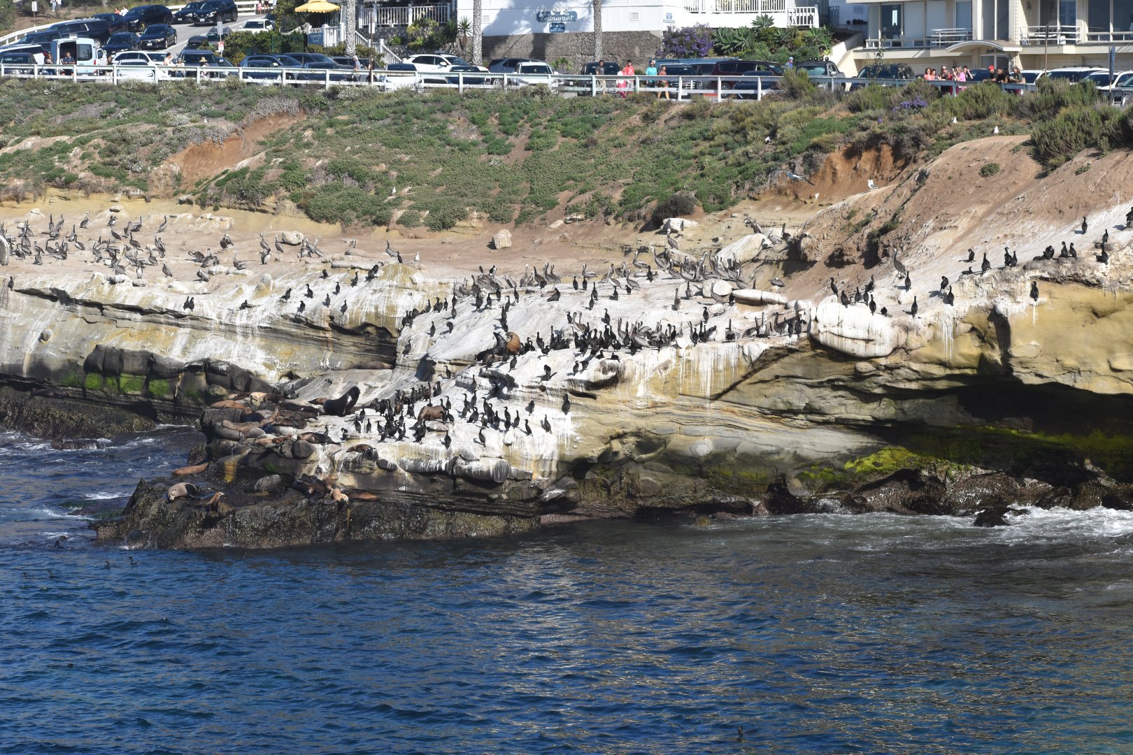 La Jolla Overlook