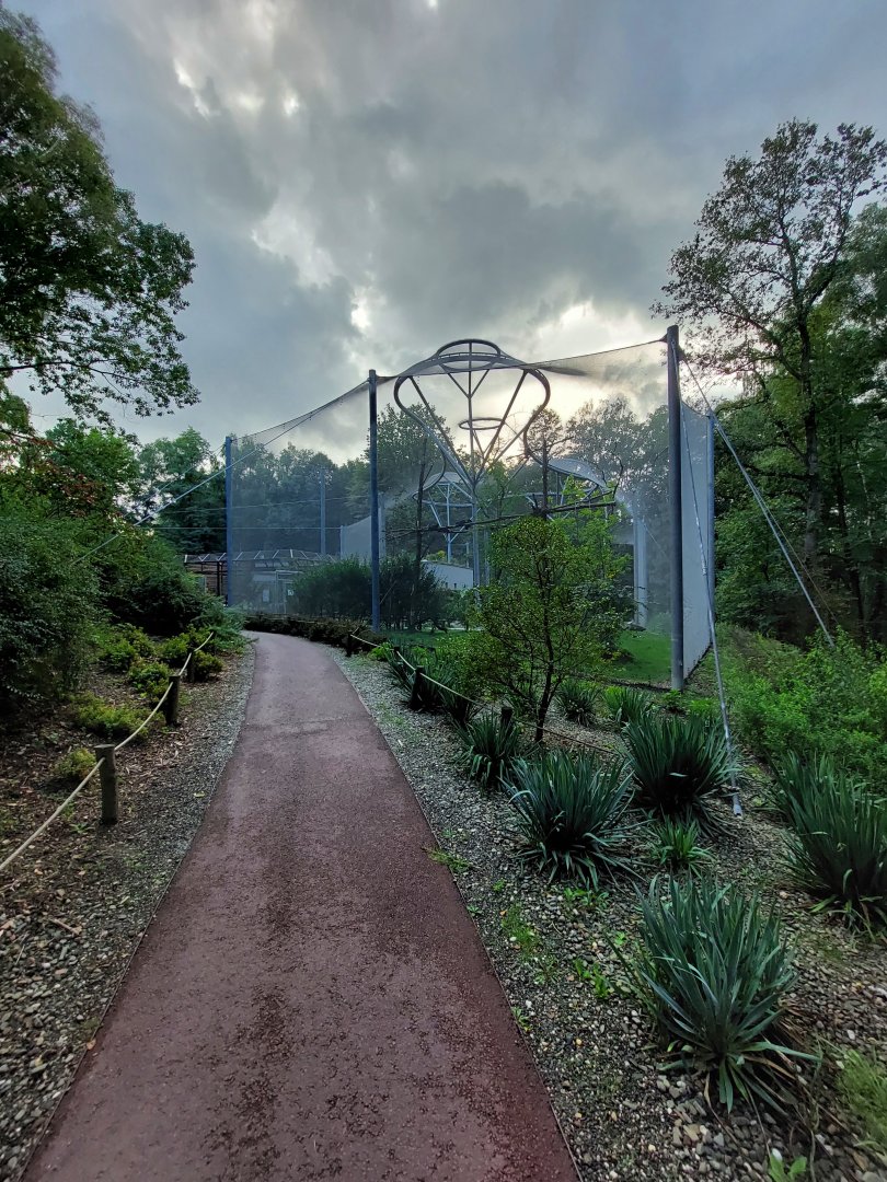 "La Pampa" walkthrough aviary - general look
