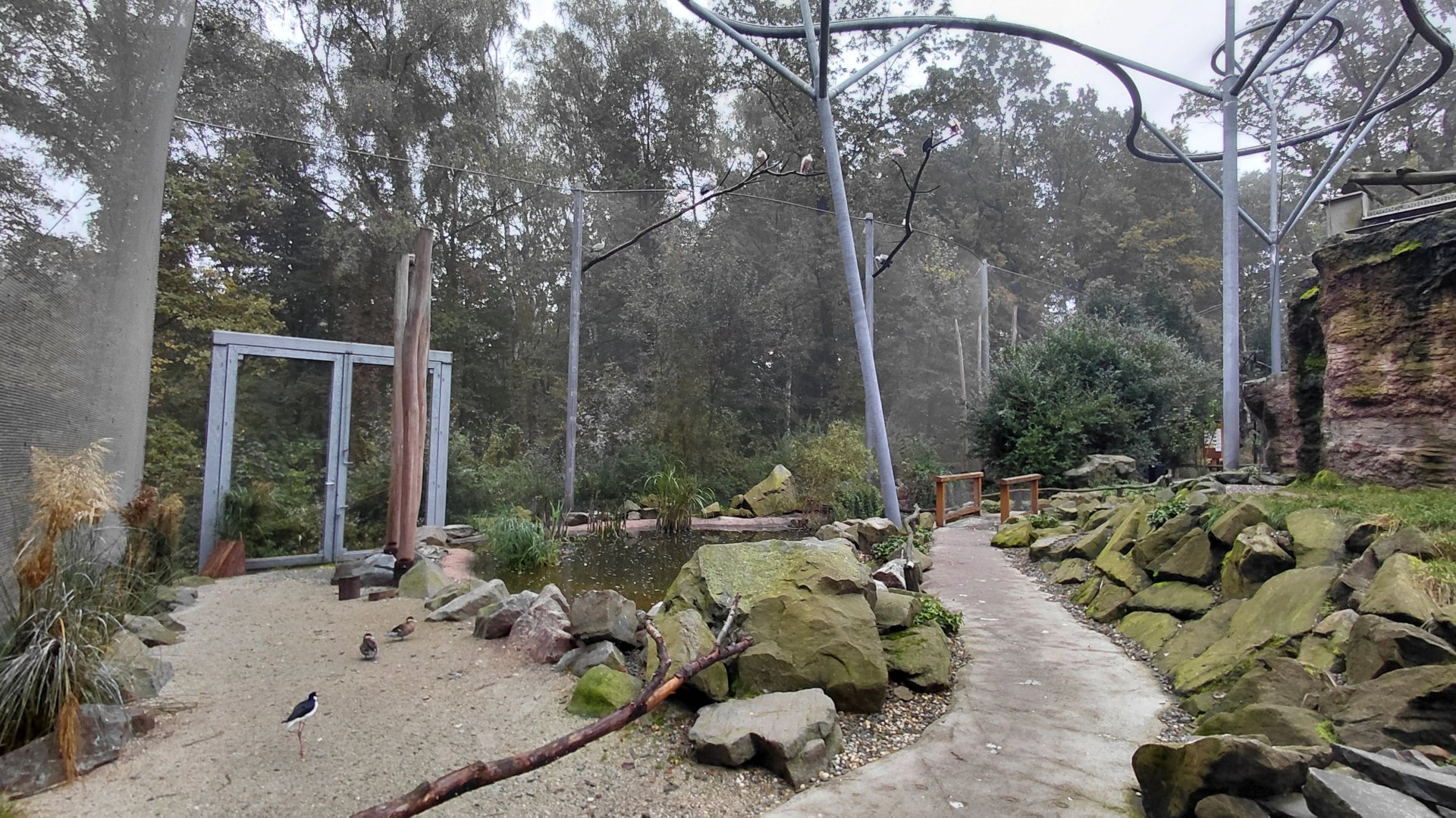 La Pampa - walkthrough aviary