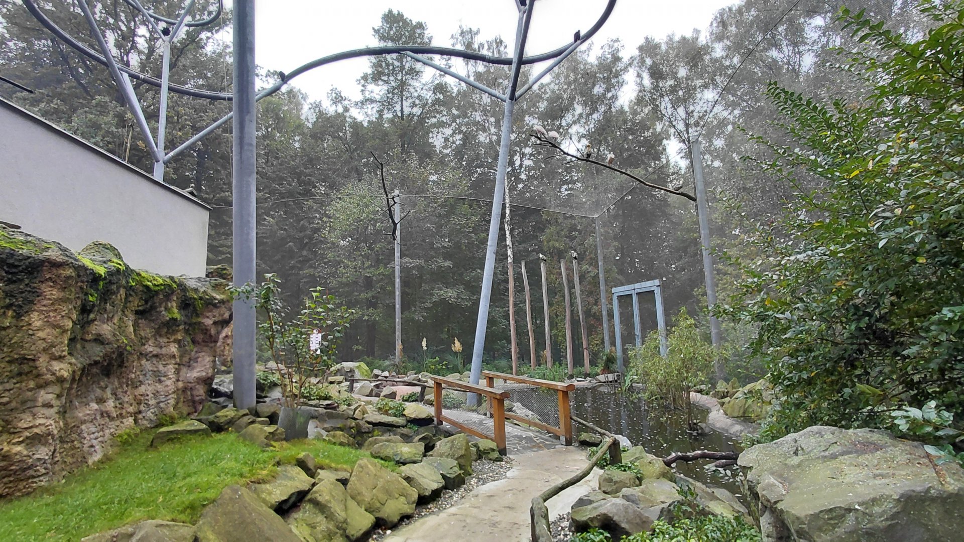 La Pampa - walkthrough aviary