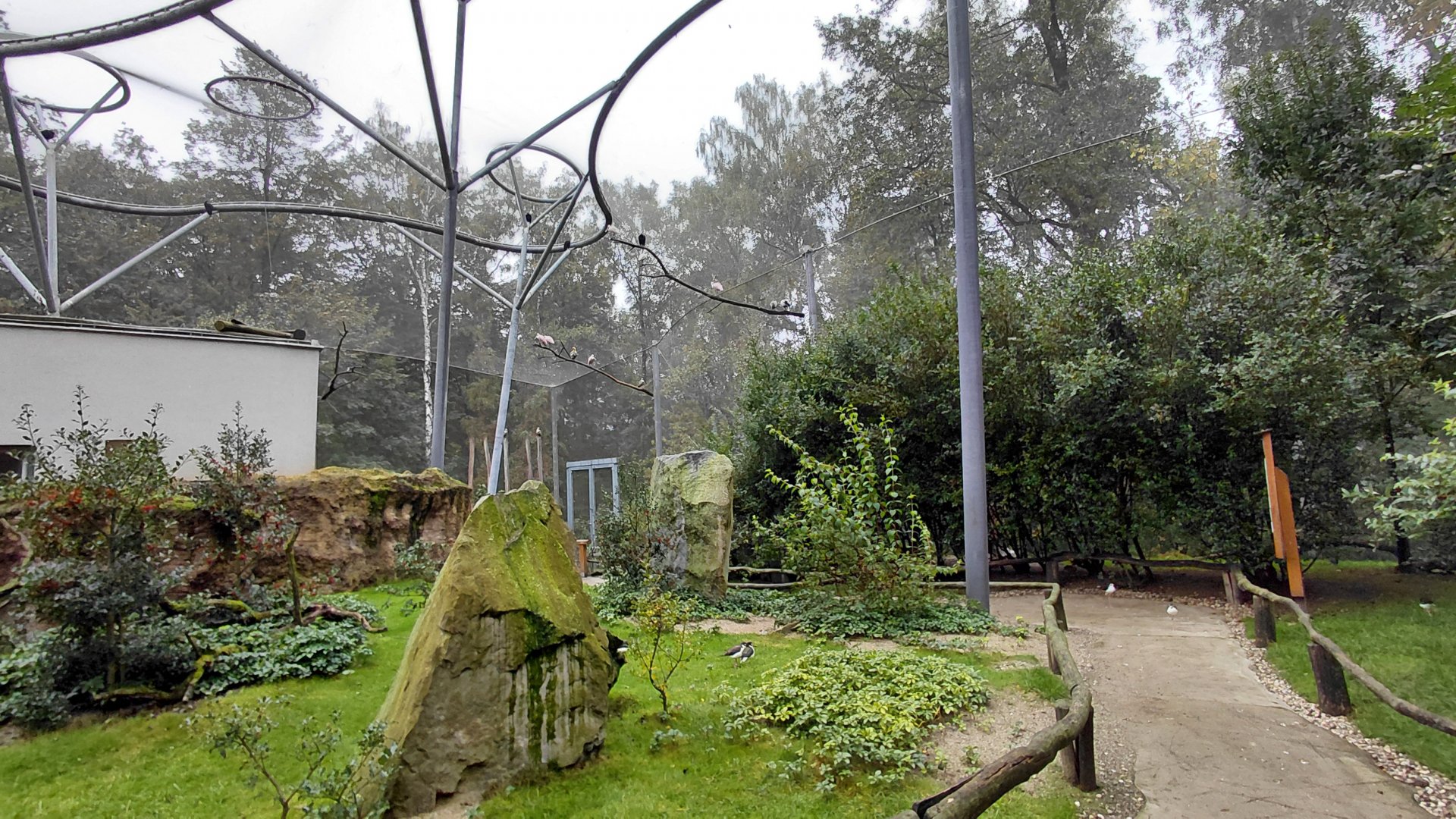 La Pampa - walkthrough aviary