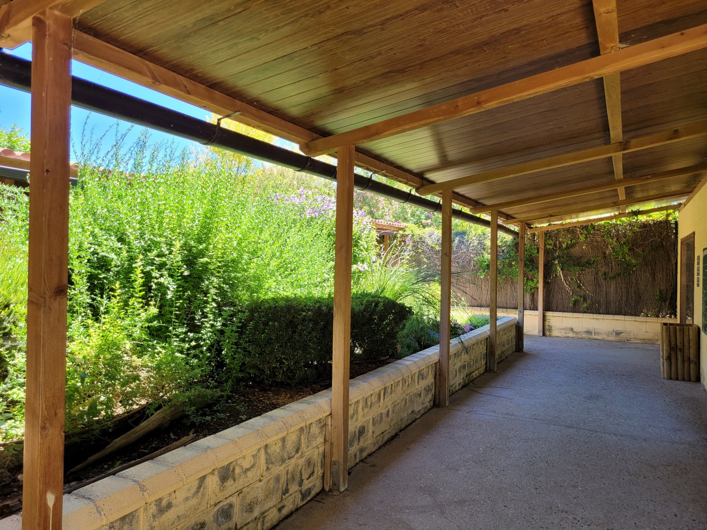 "La Plaza de los Exóticos" view -Sendaviva (2024)