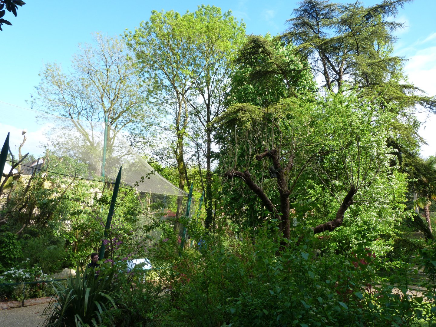 "La Rotonde des Perroquets" view -ZooParc de Beauval (2025)