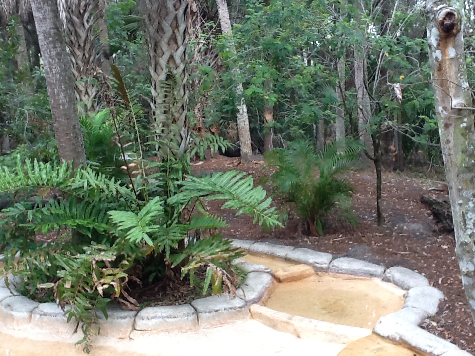 La Selva- Giant Anteater Enclosure