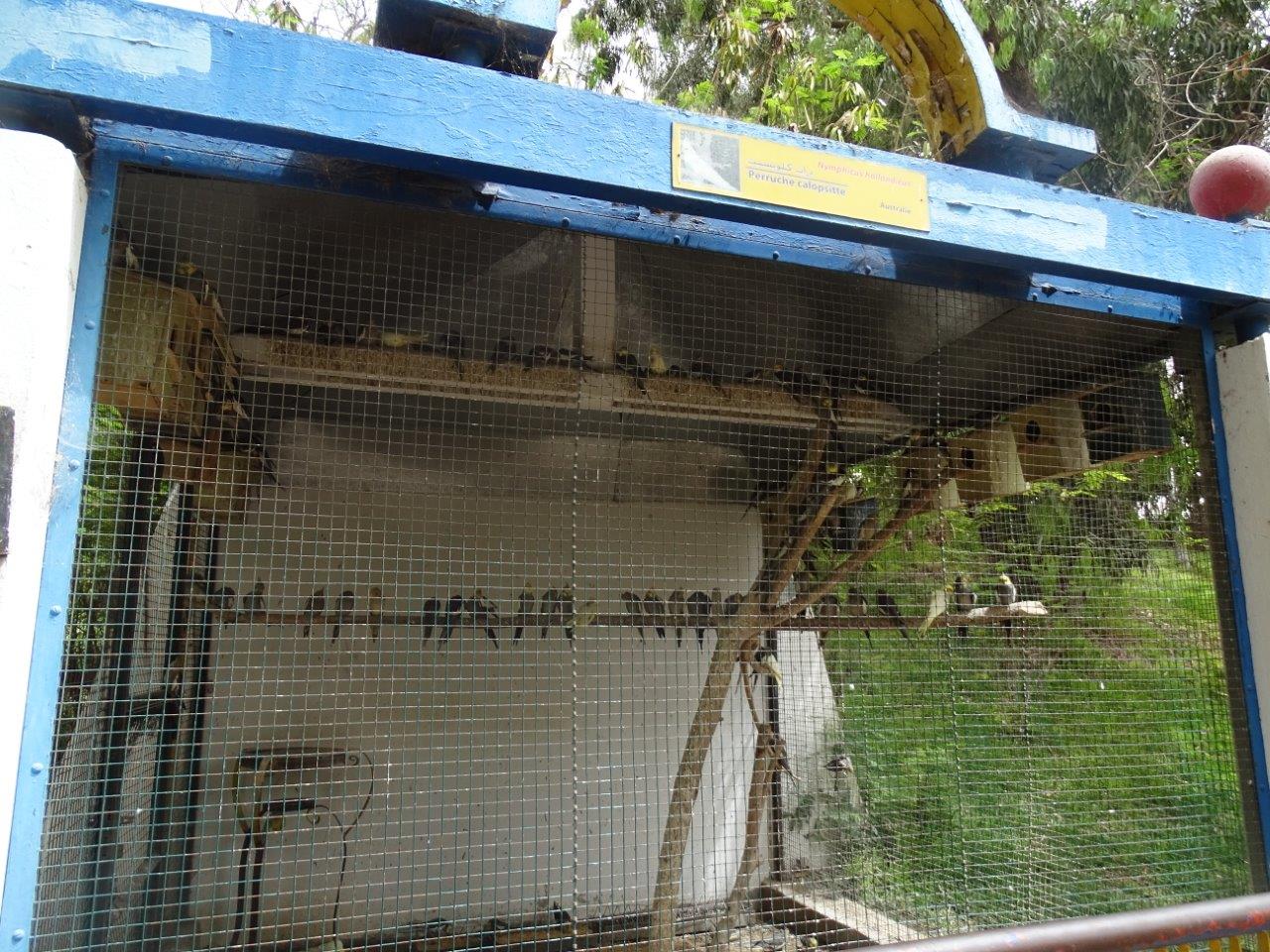 La Vallée des Oiseaux - 25/07/2016