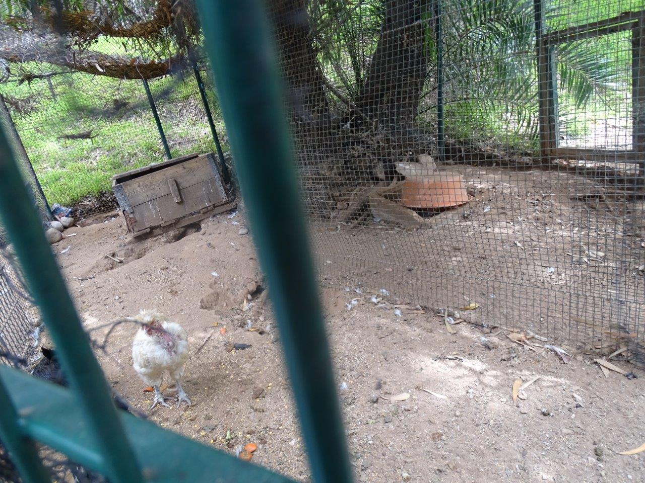 La Vallée des Oiseaux - 25/07/2016