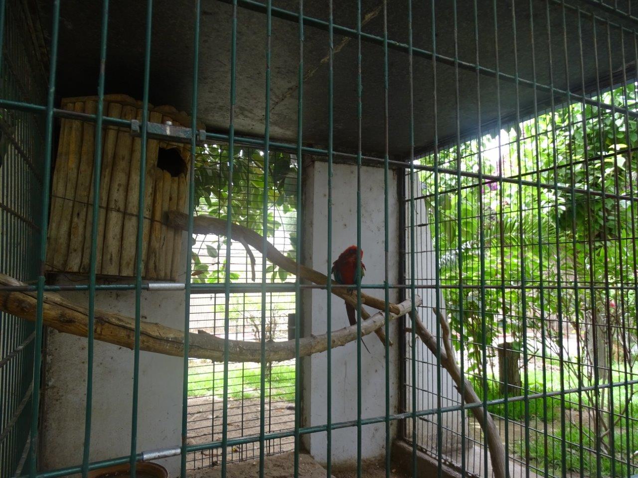 La Vallée des Oiseaux - 25/07/2016