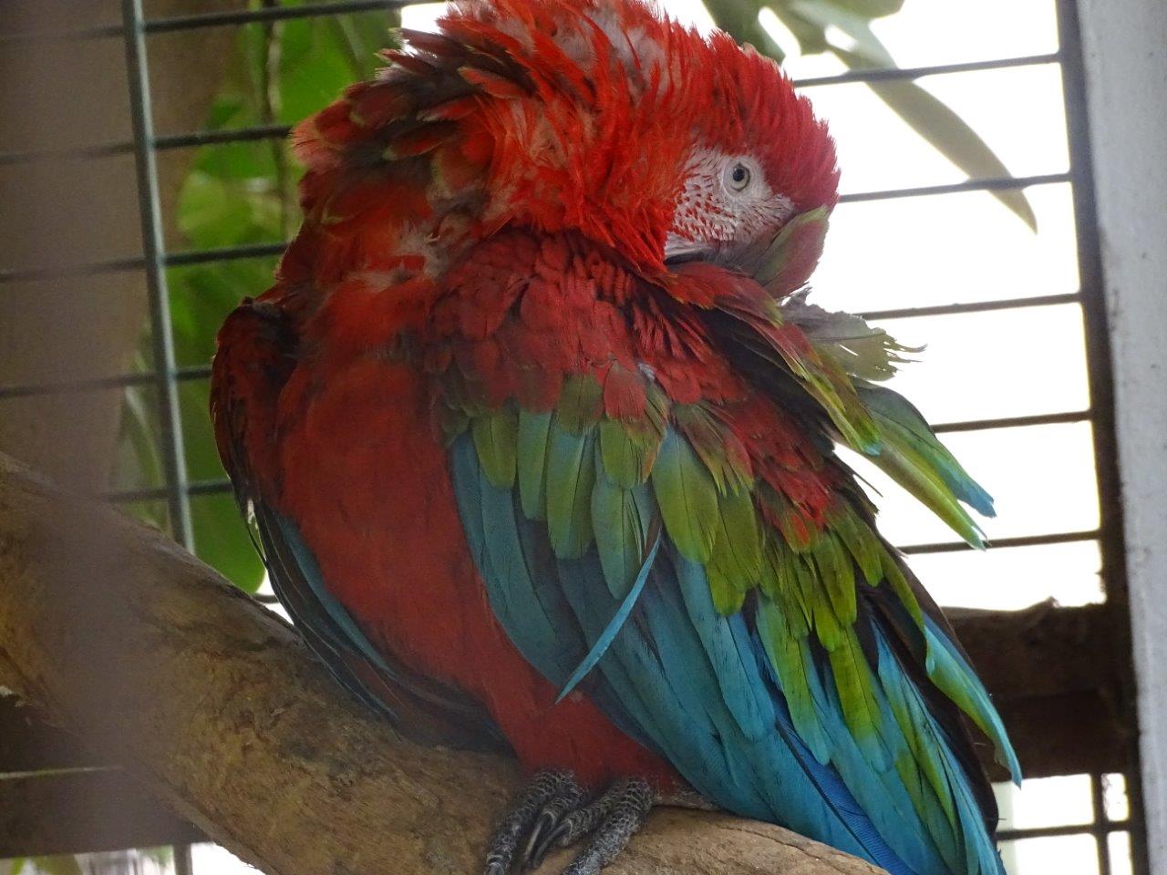 La Vallée des Oiseaux - 25/07/2016