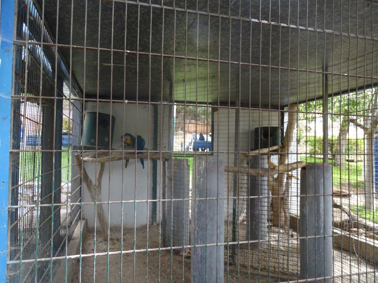 La Vallée des Oiseaux - 25/07/2016