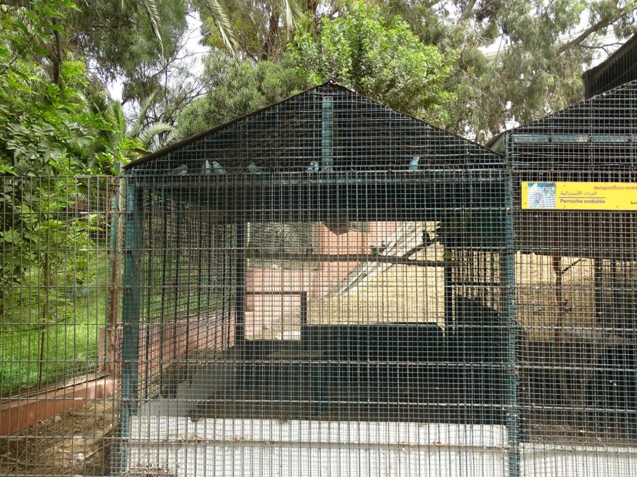 La Vallée des Oiseaux - 25/07/2016