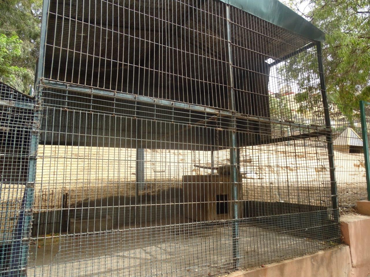 La Vallée des Oiseaux - 25/07/2016