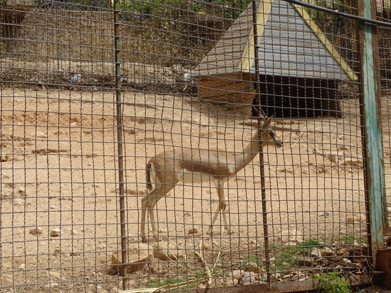 La Vallée des Oiseaux - 25/07/2016