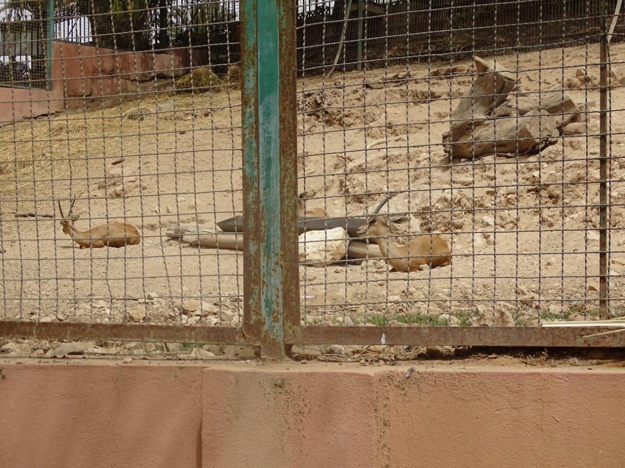 La Vallée des Oiseaux - 25/07/2016