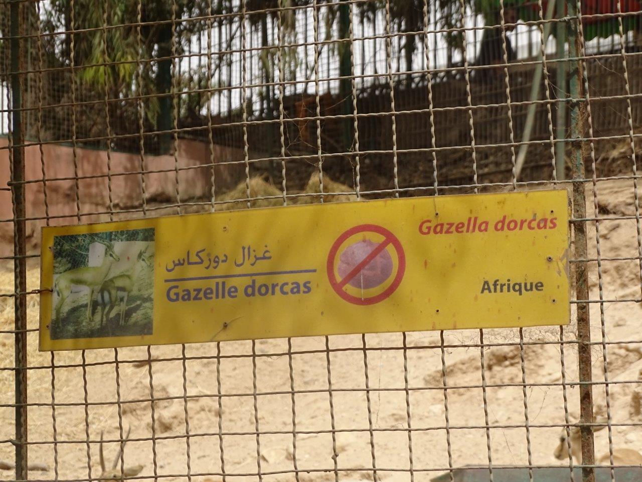 La Vallée des Oiseaux - 25/07/2016