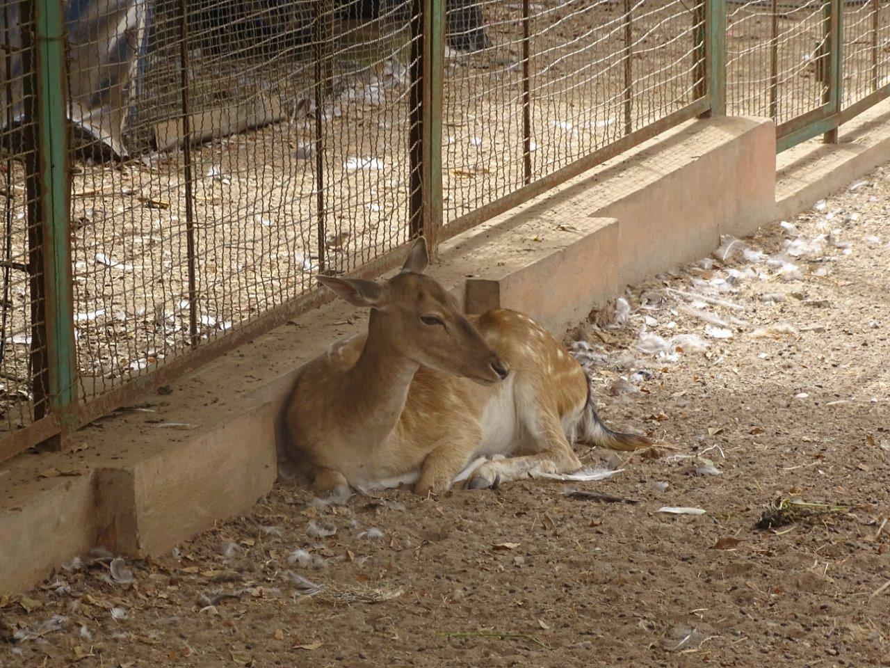 La Vallée des Oiseaux - 25/07/2016