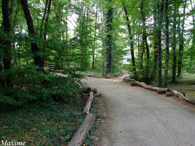 La Vallée des singes - Lemurs walk-through exhibit