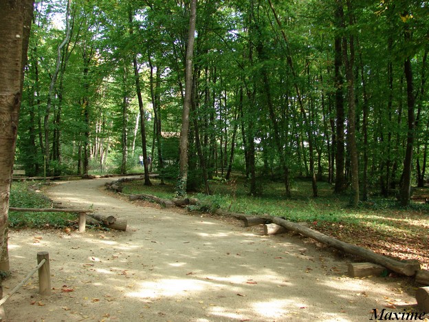 La Vallée des singes - Lemurs walk-through exhibit