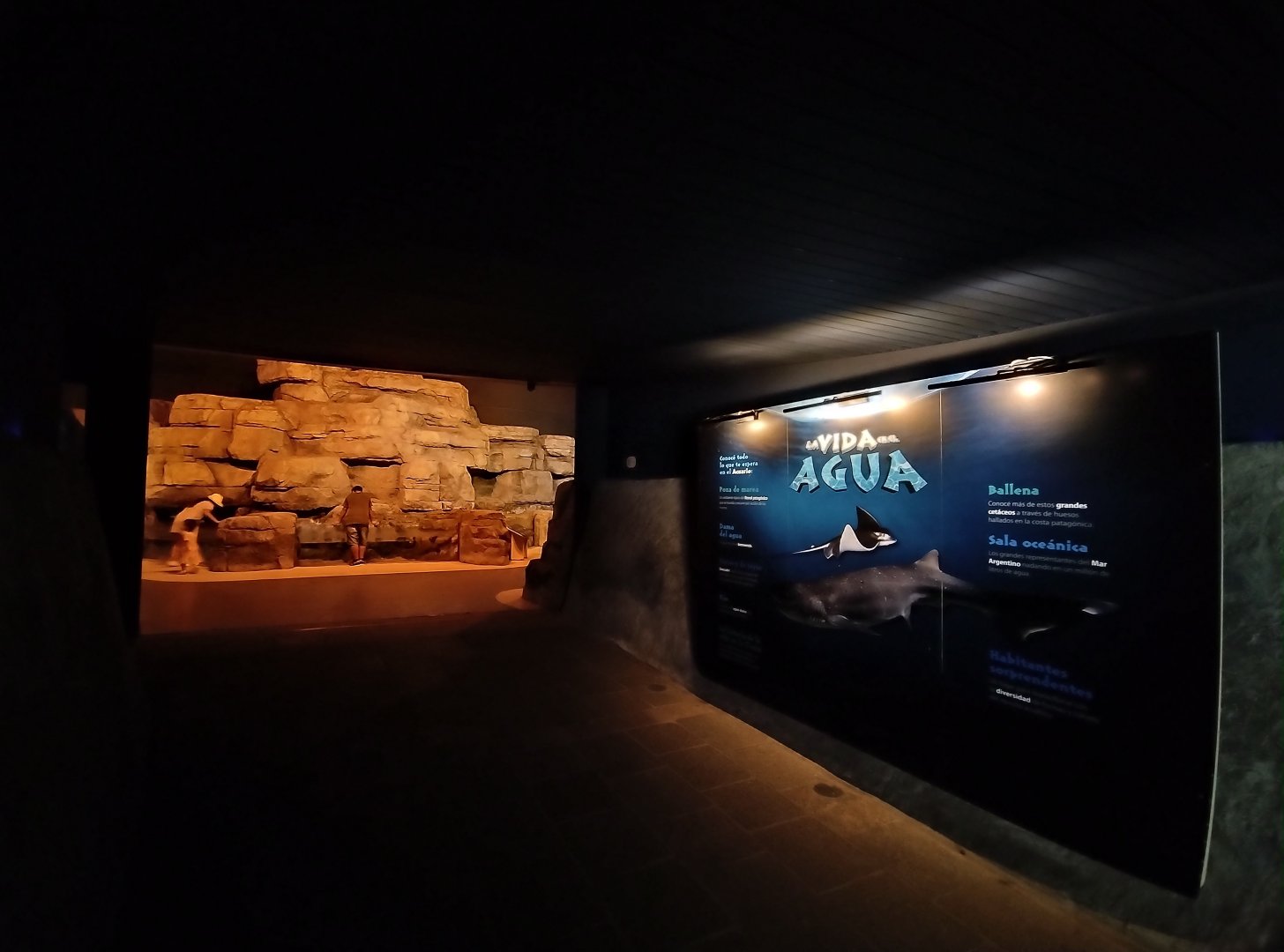 "La vida en el agua" (underwater life) - Temaiken