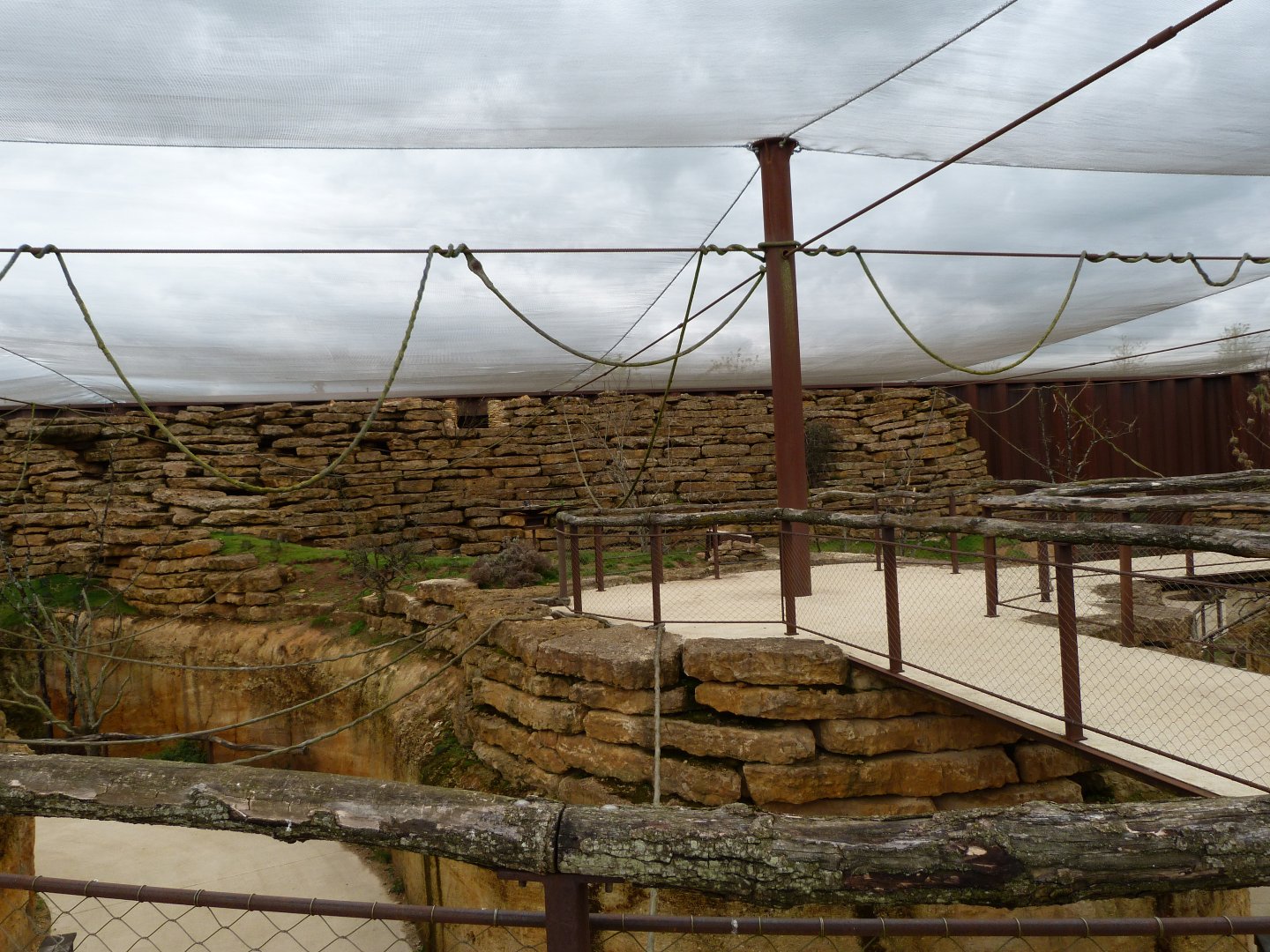 "La Volière africaine" view -Bioparc de Doué la Fontaine (2025)