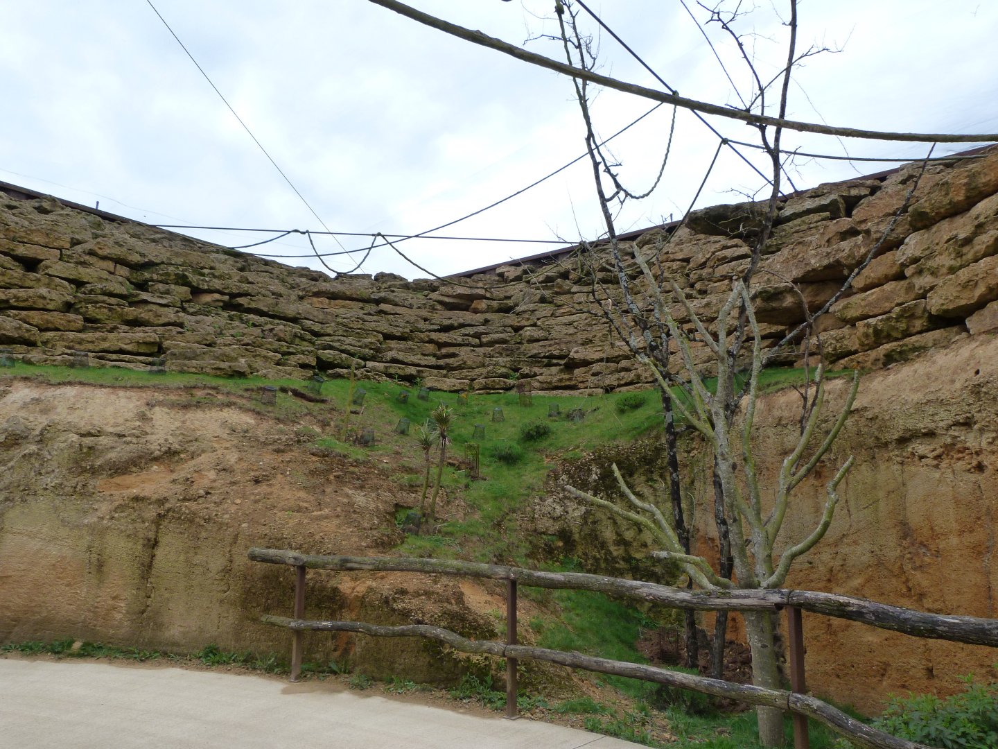 "La Volière africaine" view -Bioparc de Doué la Fontaine (2025)