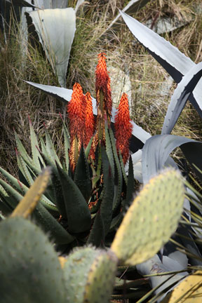 LA Zoo - Feb 7, 2010