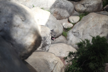 LA Zoo - Feb 7, 2010