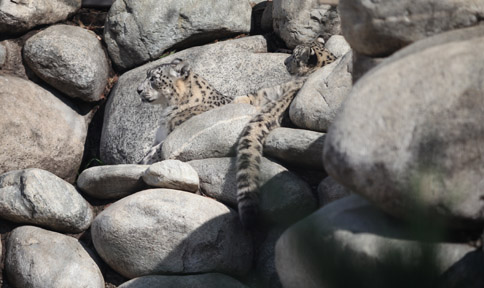 LA Zoo - Feb 7, 2010