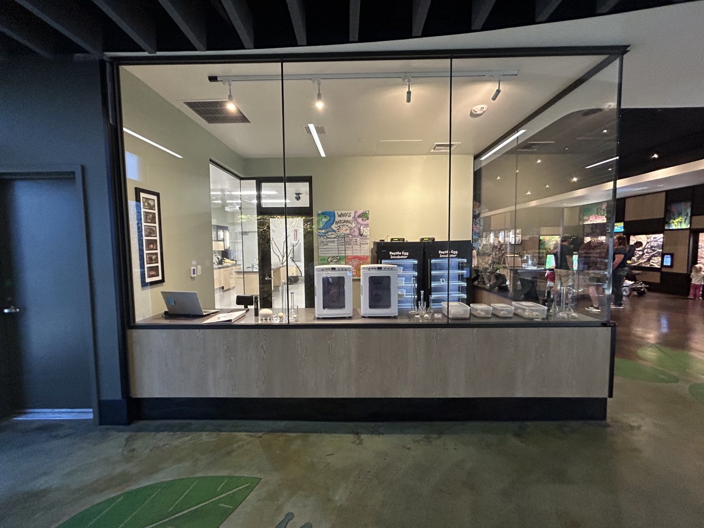 Lab in Cool Critters - Wildlife Explorers Basecamp