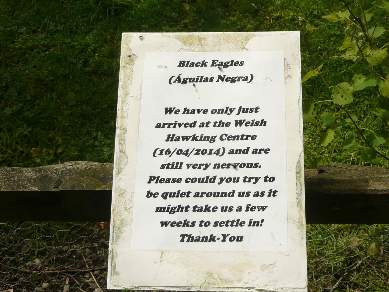 Label for new arrivals