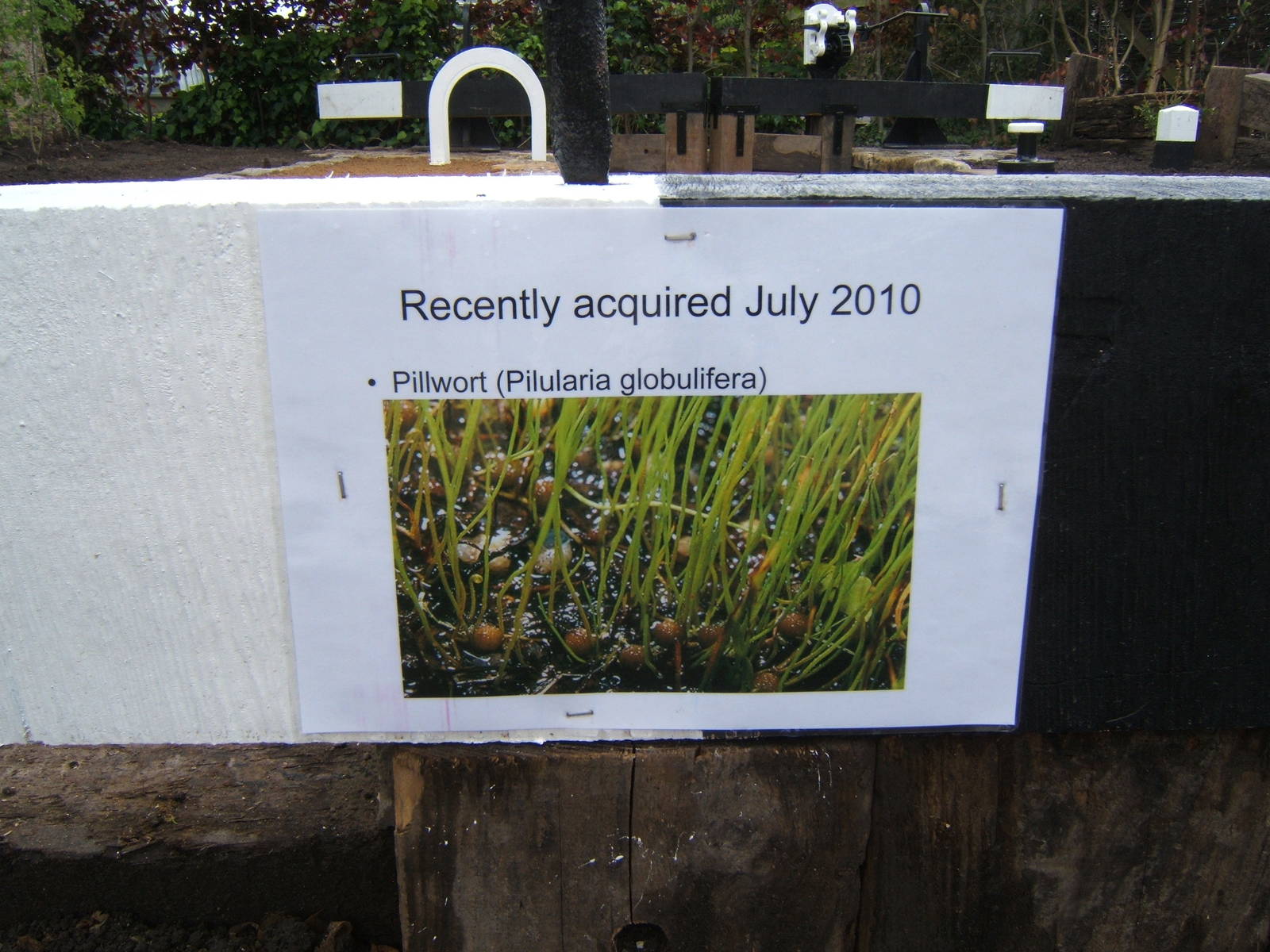 Label for one of the plant species