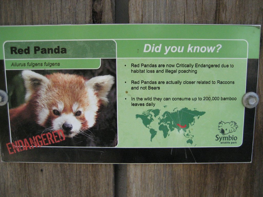 Label - Red Panda
