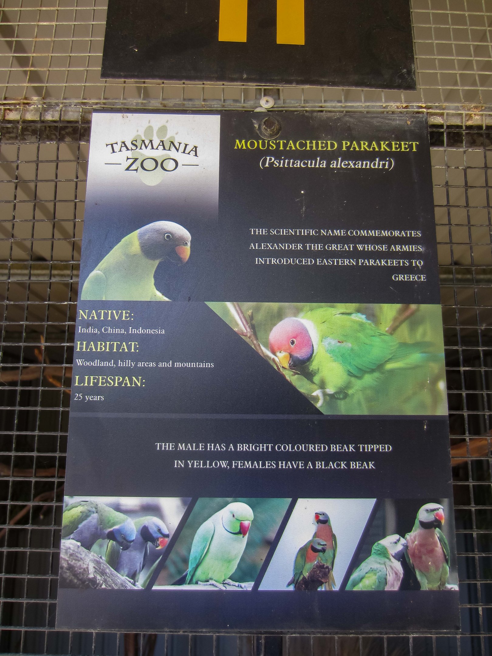 Label - with incorrect photos