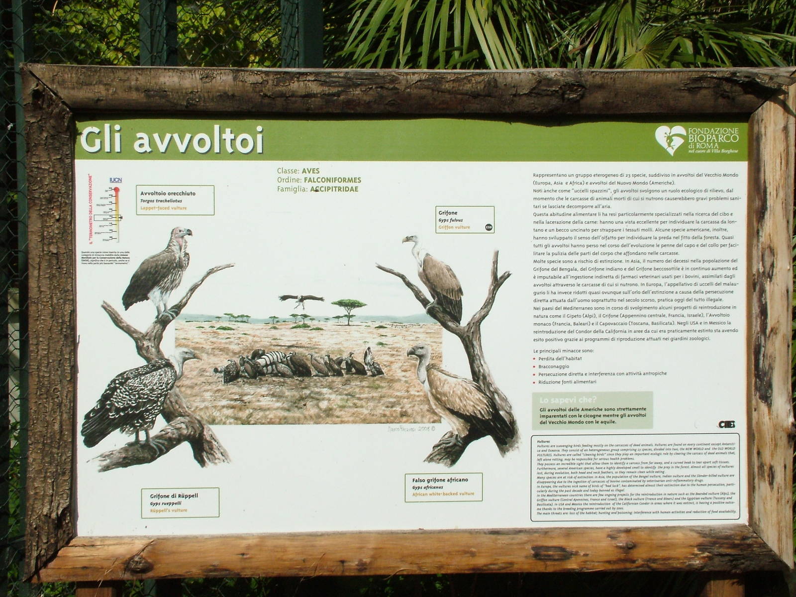 Labelling example at Bioparco Rome 15/10/09