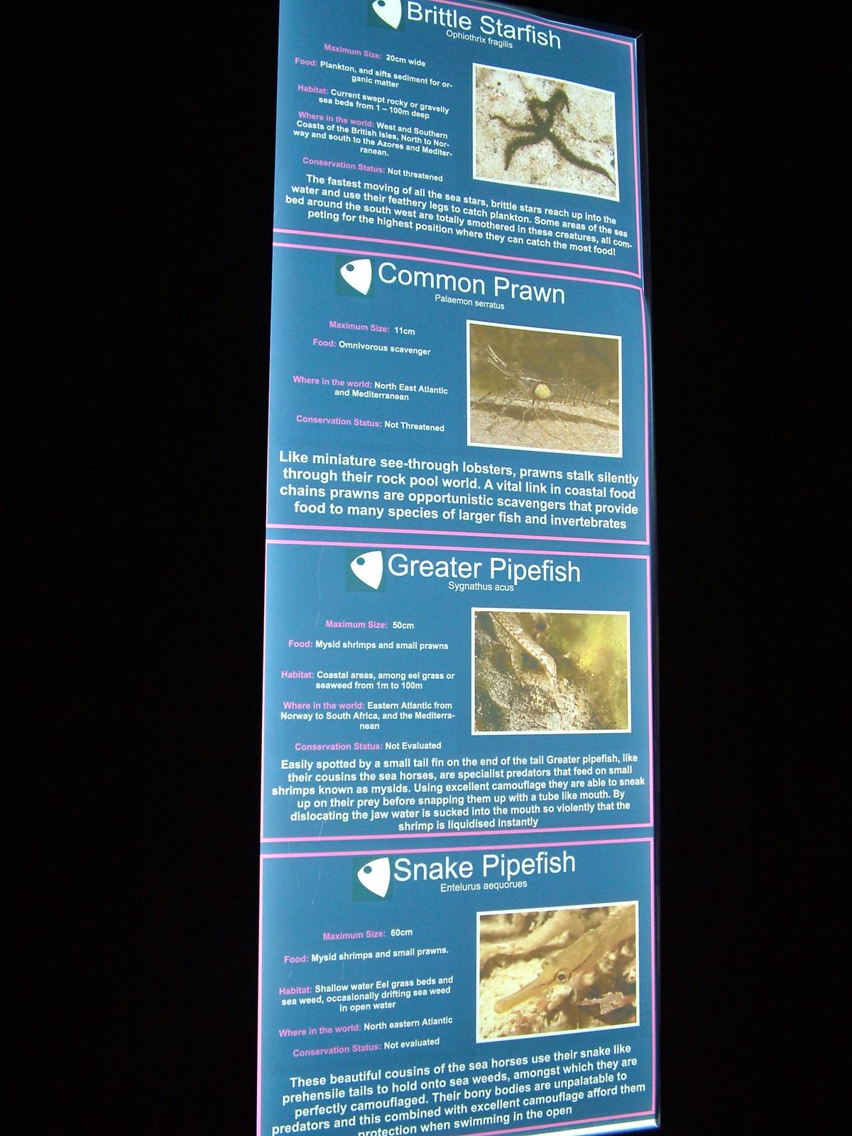 Labelling example at Blue Reef Bristol 19/12/09