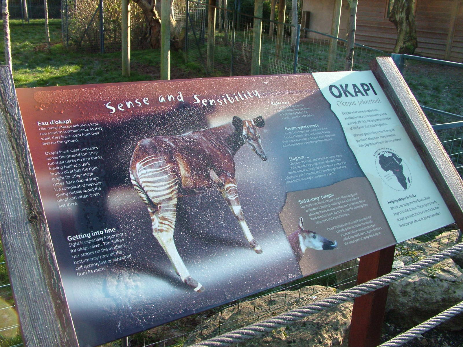 Labelling example at Bristol 19/12/09