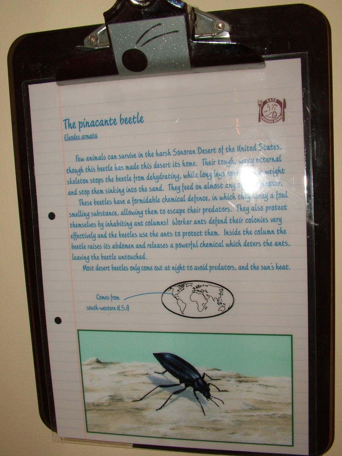 Labelling in Bug World at Bristol 19/12/09