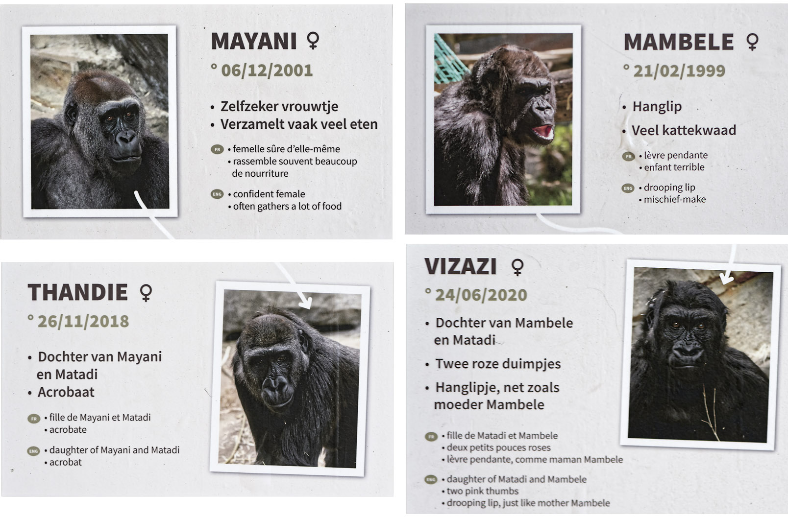 Labels beside gorilla enclosure (2)