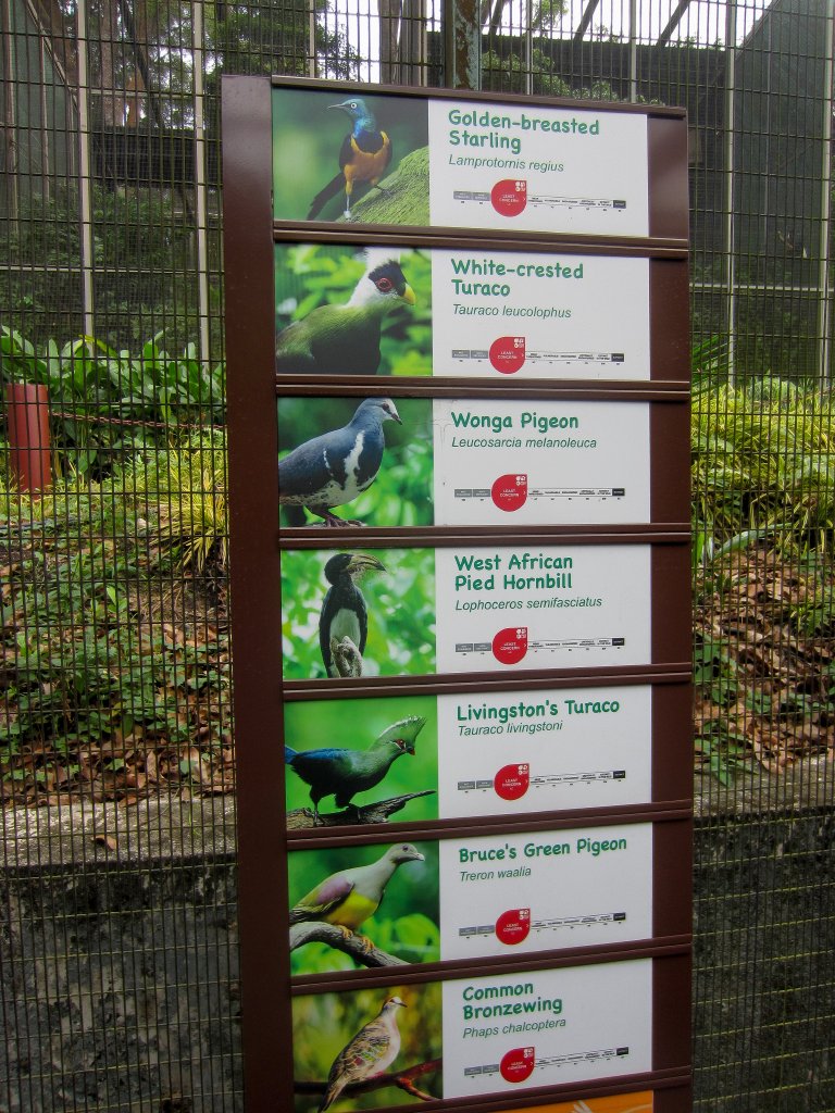 Labels in Royal Ramble