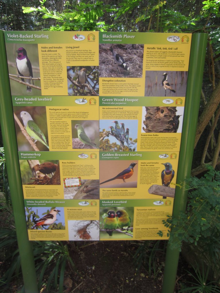 Labels in the African Walkthrough aviary