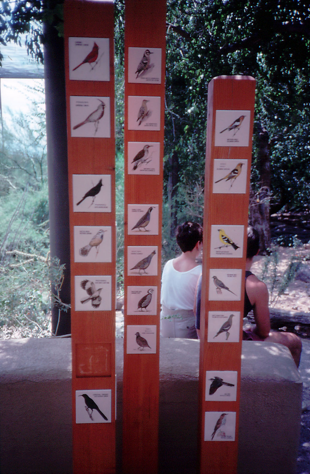 Labels in the Walkthrough Aviary