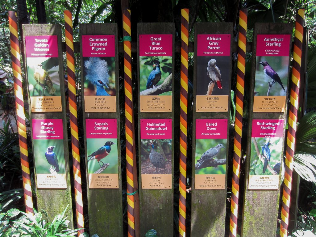 Labels in Waterfall Aviary