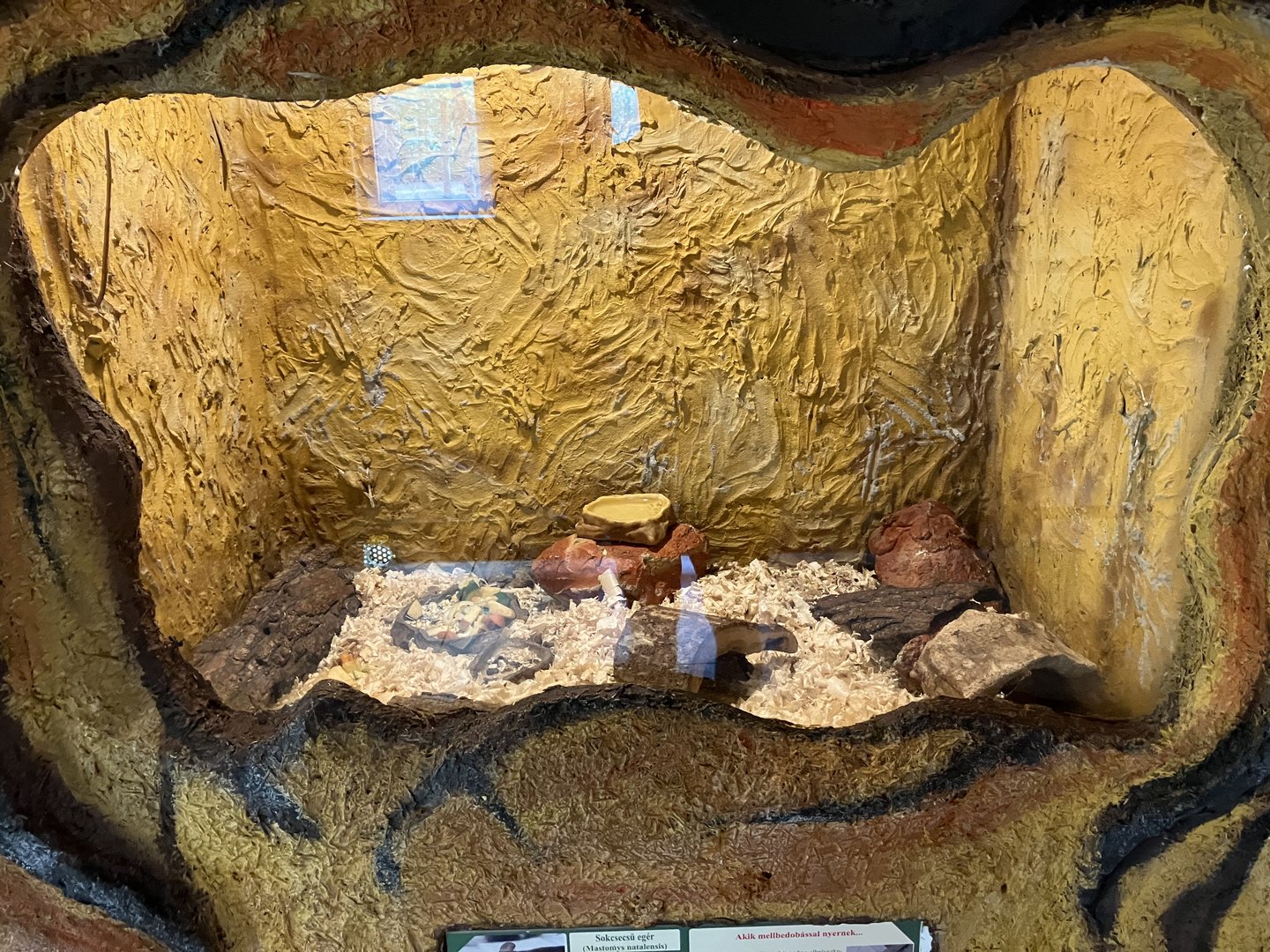 Laboratory mouse exhibit