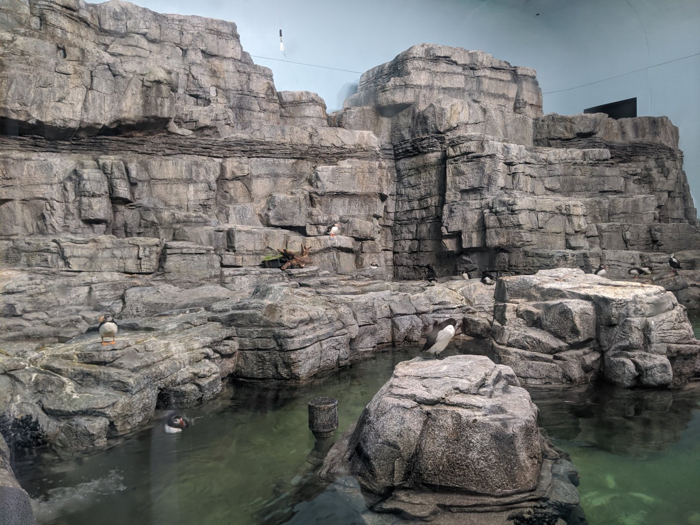 Labrador Coast ecosystem - 03-09-2020