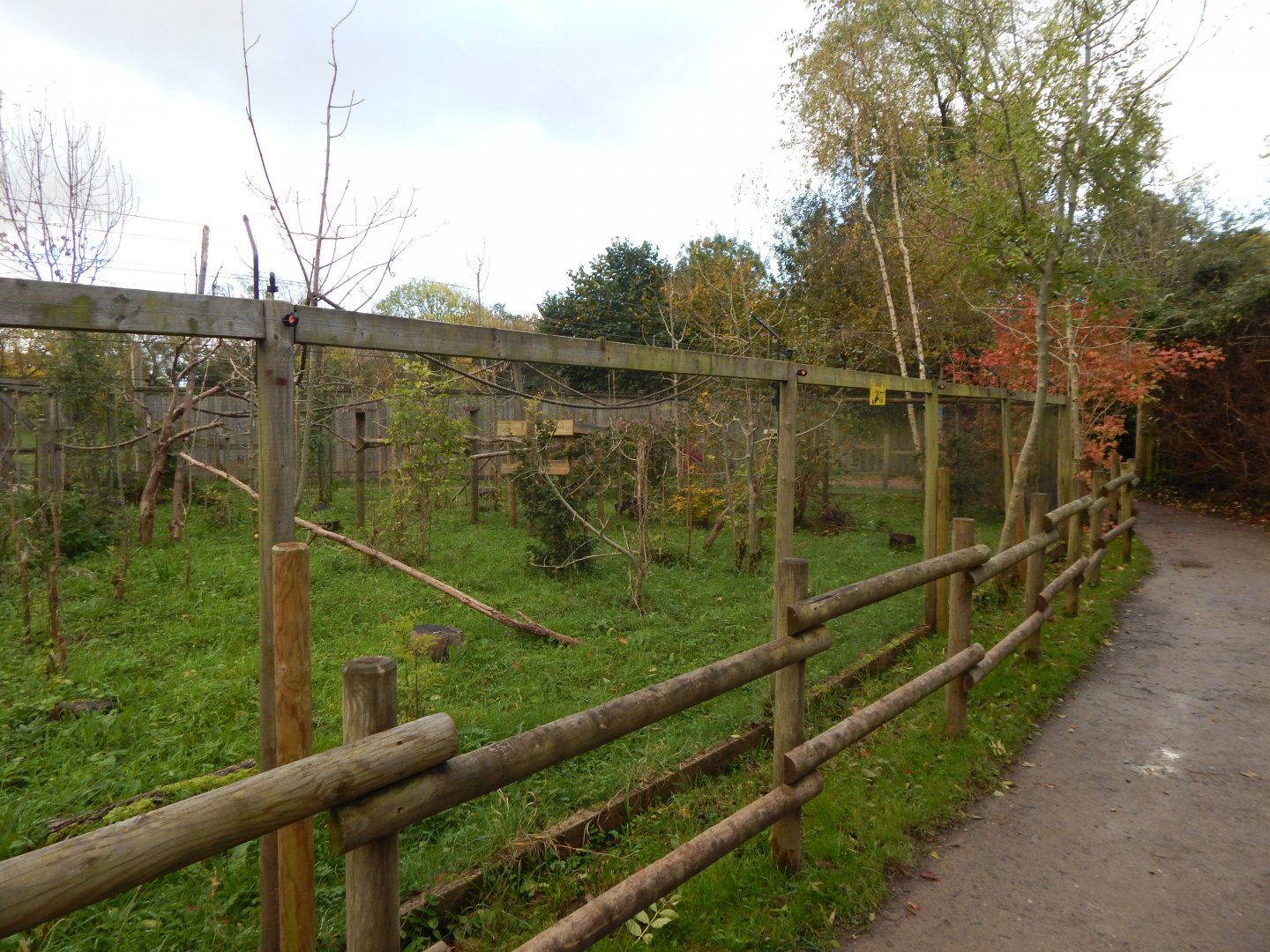 Lac Alaotra bamboo lemur enclosure 051123